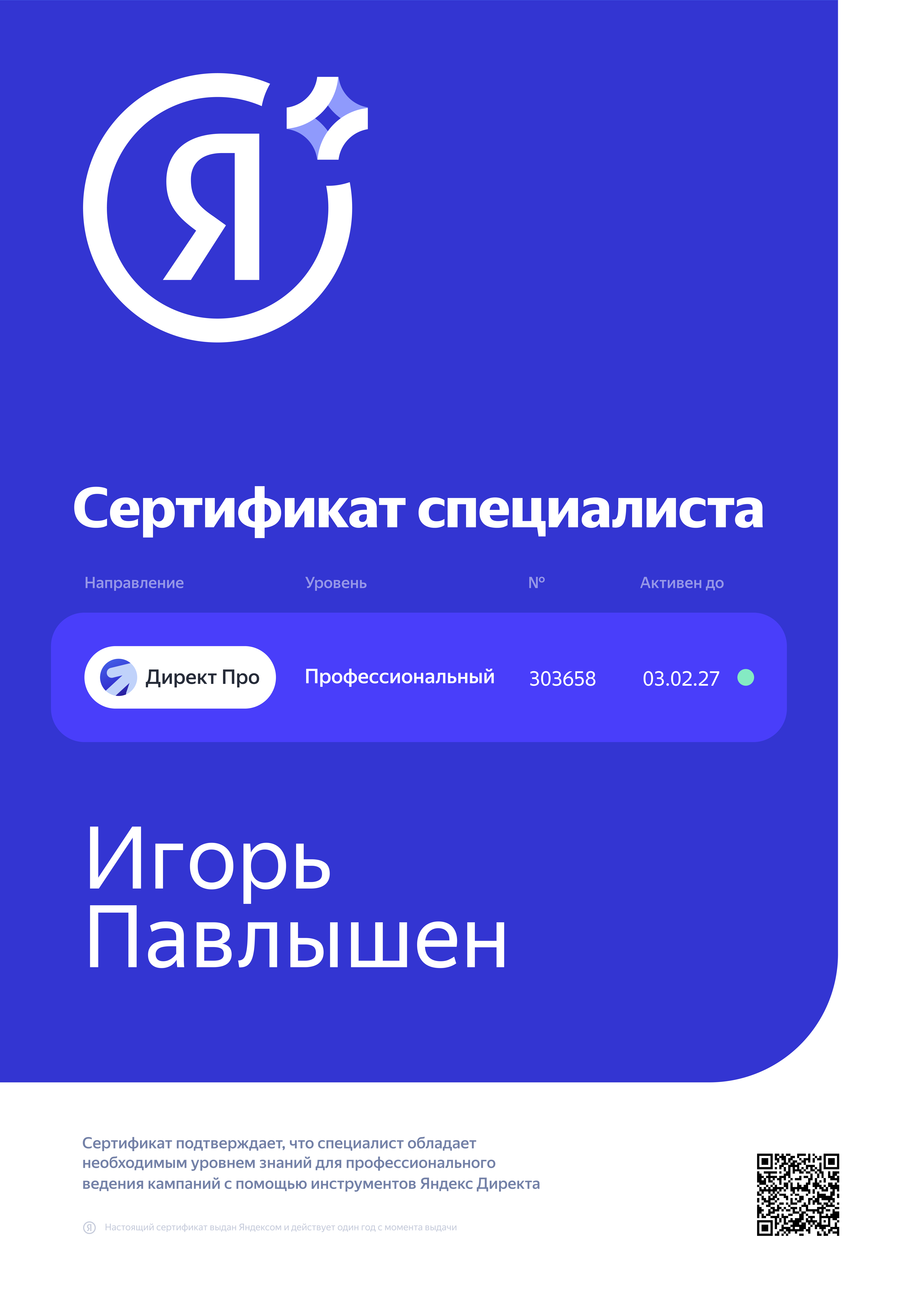 Yandex.Direct Professional